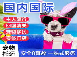 大连周水子机场空运国际宠物托运 【国
